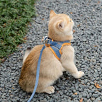 Reflective Cat & Dog Vest Harness with Leash, Anti-Escape Soft Mesh, Blue/Green S-3XL
