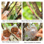 Grafting Rooting Box Plant Rooting Ball Reusable Breeding Case High Pressure Planting Root Growing Box Garden Propagation Ball