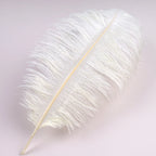 10Pcs 30-35cm Ostrich Feathers for Crafts Wedding Decoration 12-14" Handicraft Accessories Table Centerpieces Carnival Plumas