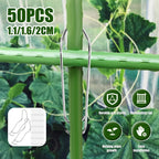 50Pcs Plant Trellis Connecting Buckles Pipe Support Fixing Clip Steely Plant Vine Climbing Pole Cages Connector Garden Vegetable