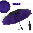 Windproof Double Layer Fully Automatic Resistant Umbrella