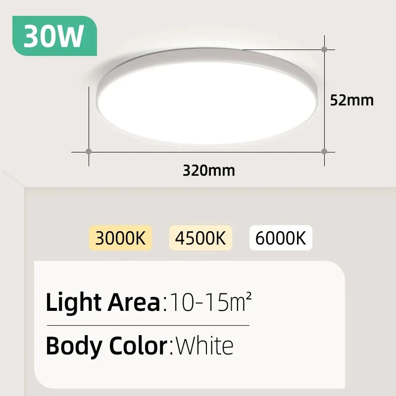 White 30W 220V / 2PCS / Cold White