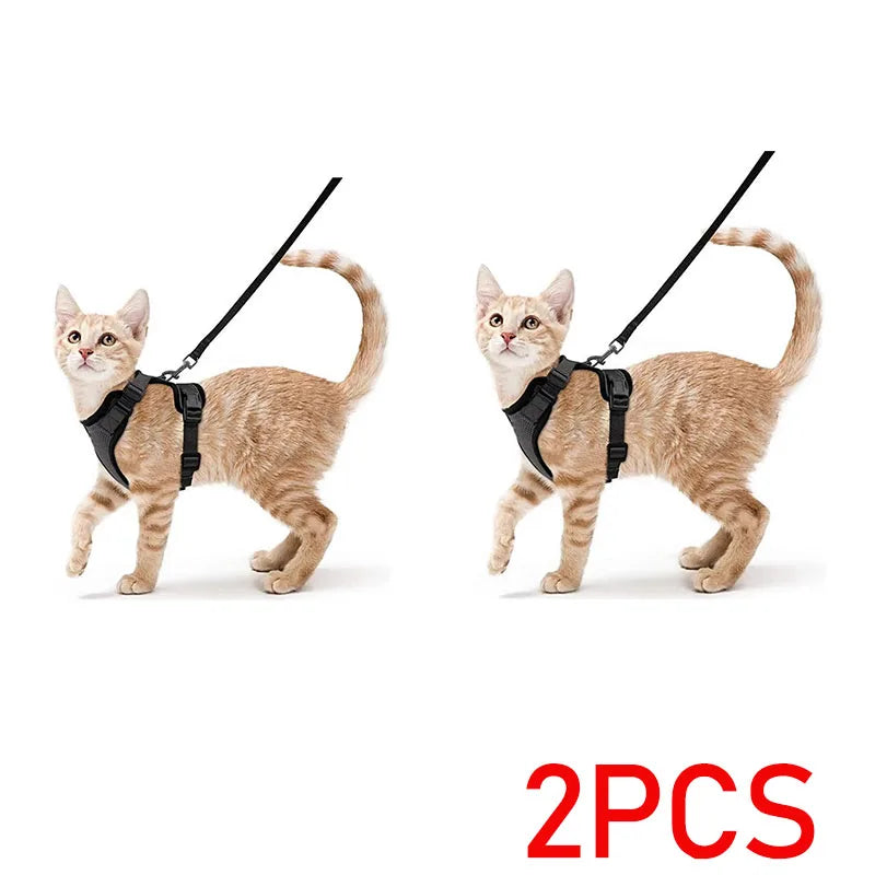 2PCS-Black Black / S-(4-7.5KG)