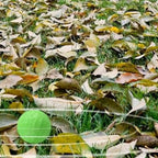 1/2/3Boxs Cat Deterrent Outdoor Indoor Natural Peppermint Oil Cat Deterrent Ball Dog Repellent Keep Cats Off Lawn Yard Garden
