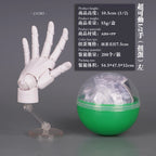 10.5cm Human Hand Model With Movable Finger Joints 1:2 Simulation Palm  Desktop Ornamenttoy Twisted Egg Surprise Blind Box