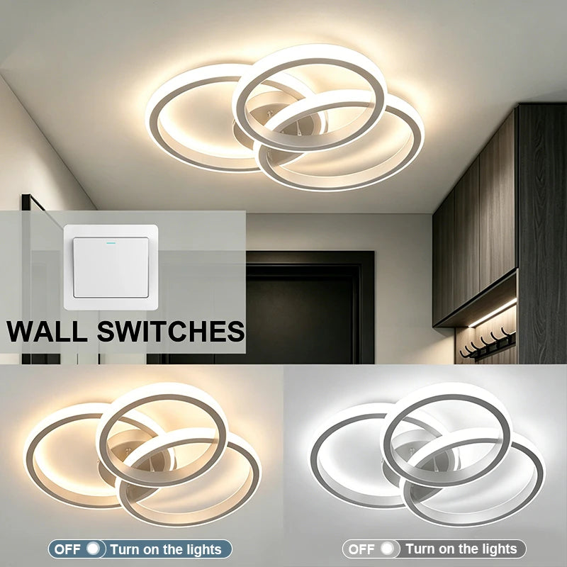LED Ceiling Light Fixture, Black or White, Warm/Cold/CCT Options, Indoor Flush Mount