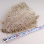 10Pcs 30-35cm Ostrich Feathers for Crafts Wedding Decoration 12-14" Handicraft Accessories Table Centerpieces Carnival Plumas