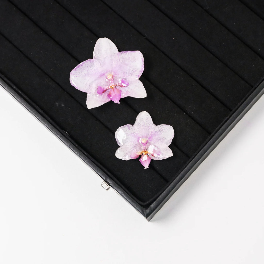 "Resin Coated Natural Dried Phalaenopsis Orchid Flowers - DIY Craft Supplies for Jewelry Making (Earrings/Brooch) Real Preserved