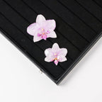 "Resin Coated Natural Dried Phalaenopsis Orchid Flowers - DIY Craft Supplies for Jewelry Making (Earrings/Brooch) Real Preserved