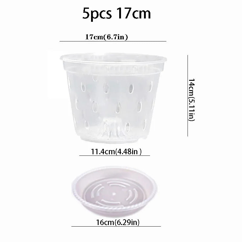 5pcs 17cm
