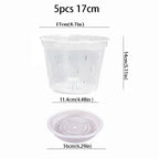5pcs 17cm