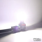 White / H8 H9 H11 H16JP