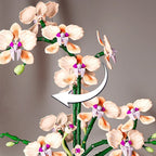 Eternal Flower Orchid Building Block Potted Plant Model, Home Decor Item, Gift for Girls for DIY Creativity, DIY Gift, Birthday/