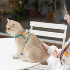 Reflective Cat & Dog Vest Harness with Leash, Anti-Escape Soft Mesh, Blue/Green S-3XL