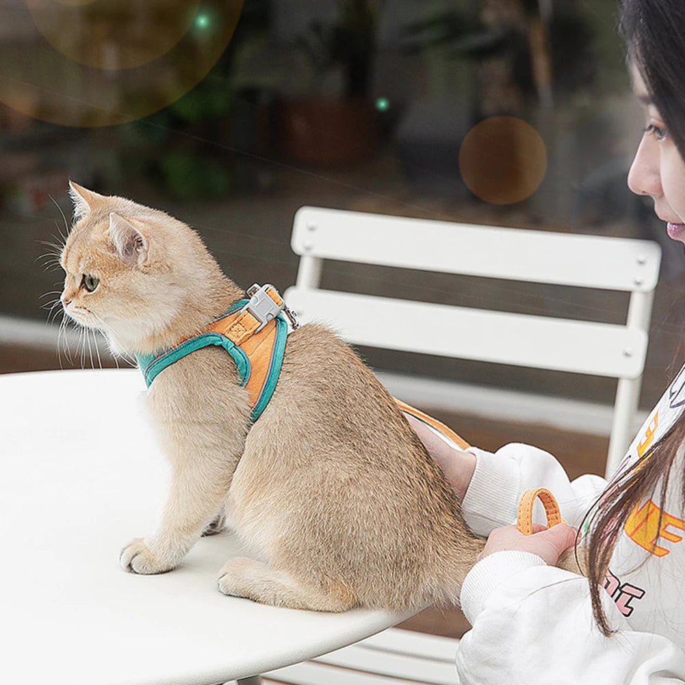 Reflective Cat & Dog Vest Harness with Leash, Anti-Escape Soft Mesh, Blue/Green S-3XL