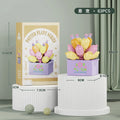 1603-11-no box