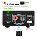 Douk Audio NS-03G Mini 100W Subwoofer / Full Frequency Mono Channel TPA3116 Digital Amplifier Desktop Audio Power Amp