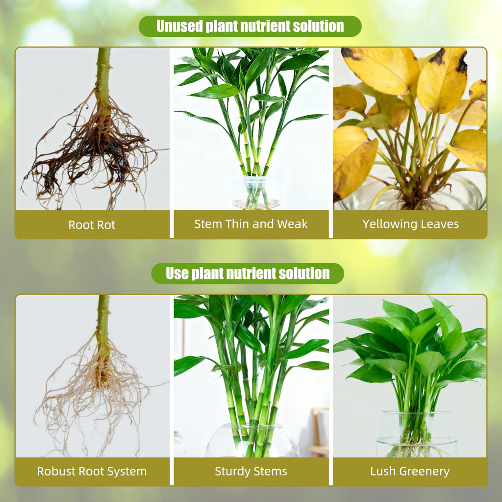 Yieryi Hydroponic Nutrient Solution AB Liquid Fertilizer 250ml Growth Stage Plant Food