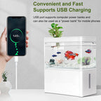 Mini Fish Tank 3L Desk Fish Tank 5L Water Plastic Fish Tank Botton Filter With Water Pump Fish Bowls