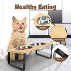 Elevated Cat Bowls with Food Mat 15° Tilted Stand Raised Cat Dishes for Food and Water Feeder 2 Stainless Steel Bowls for Cats
