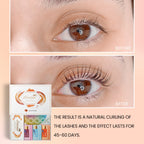 Lomansa 15 Pieces/Lot 8-12 Minutes Brow Lamination Kit 2 In 1 Sachet Perm Fixation Lotion Lash Lifting 6-8 Weeks Makeup Tools