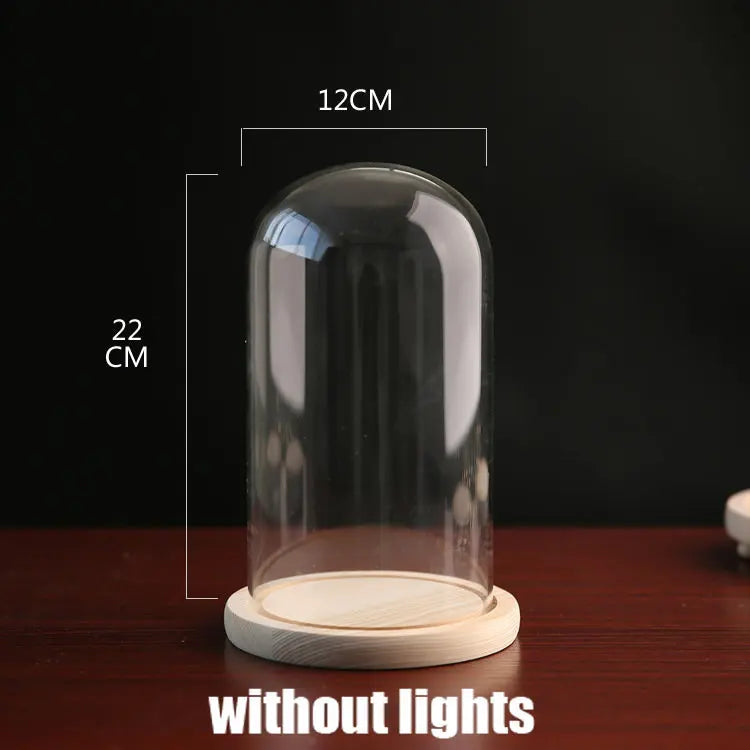 Tabletop Display Glass Cover Terrarium Container Decor Dry Flower Ornaments Craft Bell Jar Wood Base with Feet LED Light Holder