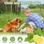 1/2/3Boxs Cat Deterrent Outdoor Indoor Natural Peppermint Oil Cat Deterrent Ball Dog Repellent Keep Cats Off Lawn Yard Garden