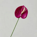 5/10/20pcs 3D Printed Anthurium Artificial Flower Flamingo Palm Wedding Hall Layout Wedding Home Decoration Artificial Flower
