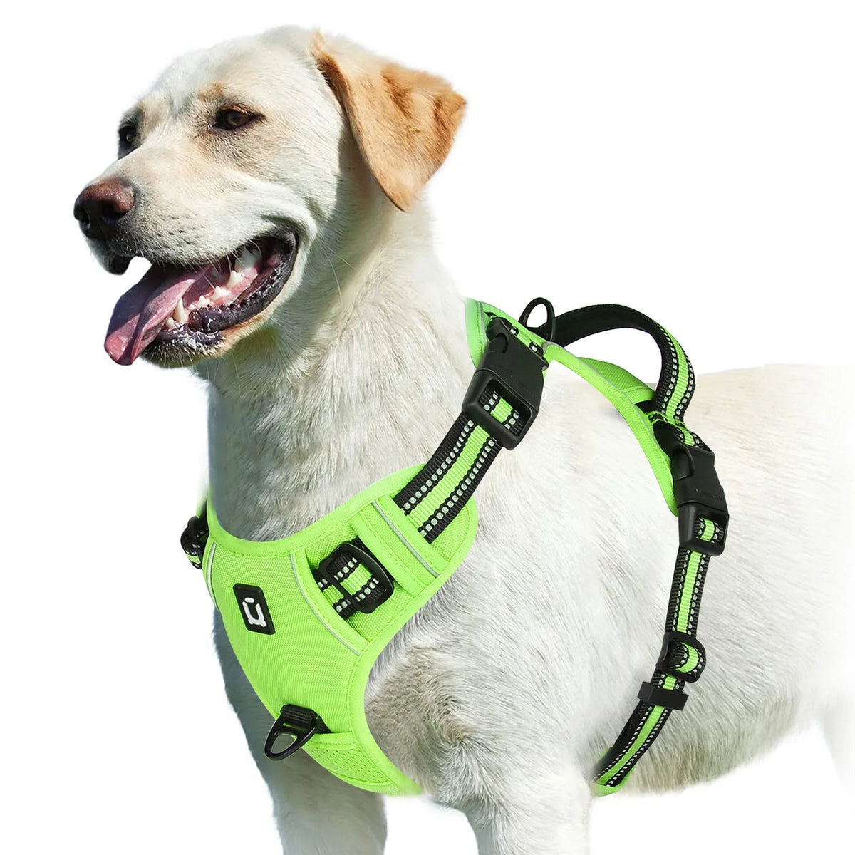 light green / XL