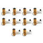 10pcs with box