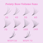 2000 Fans 0.05 0.07 Mix C D Lash Promade Russian Volume Natural Handmade 8D 12D 14D Ultra Speed Top Premade  Lashes Extensions