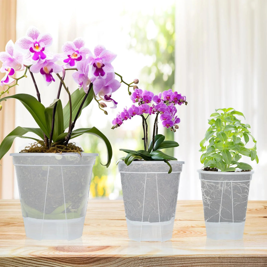 5Pcs Self-watering Pot Transparent Flowerpot with Reservoir Indoor Planter for Plants  Plastic Orchid Pot Home Bonsai Decor