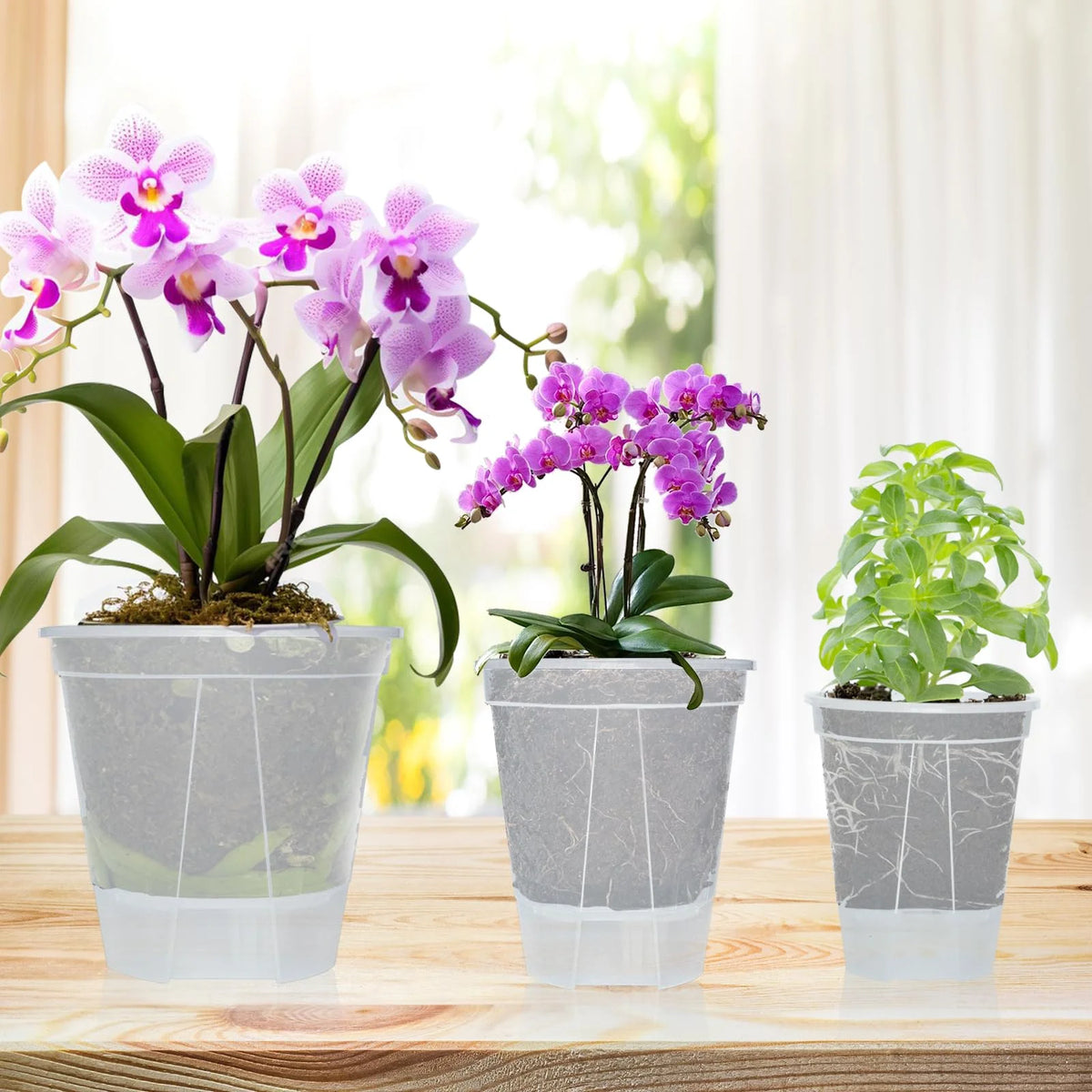5Pcs Self-watering Pot Transparent Flowerpot with Reservoir Indoor Planter for Plants  Plastic Orchid Pot Home Bonsai Decor