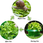 Reusable Vegetables Protection Covers Garden Plant Snail Slug Protection Collars Agricultural Save Water Guard for Flowers