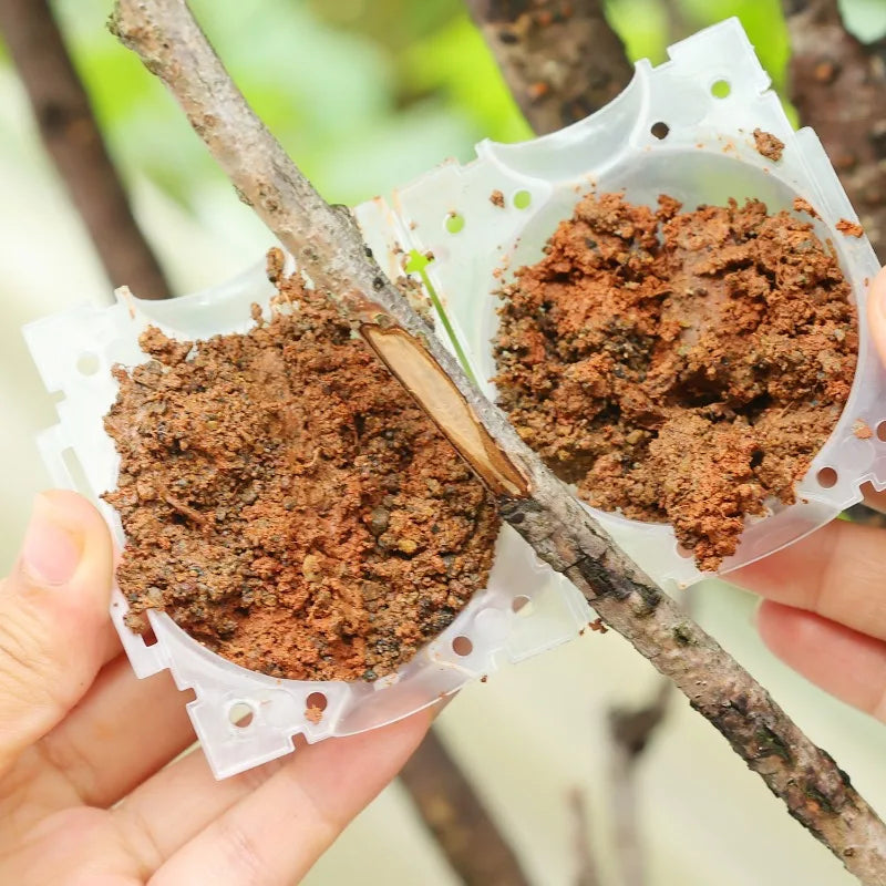 Air Layering Pods Plant Rooting Ball High Pressure Propagation Root Growing Box Graft Breeding Case for Garden Planting Supplies