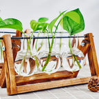 1pc, Tabletop Glass Planter Propagation Station Hydroponic Plant Vases In Wooden Rack Terrarium For Plants, Clear Flower Pot For