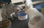 Wireless Cat Water Fountain Magnetic Drive, 100-Day Battery, Ultra Quiet, Filter-Free, 1pc