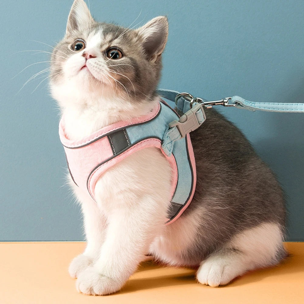 Reflective Cat & Dog Vest Harness with Leash, Anti-Escape Soft Mesh, Blue/Green S-3XL