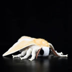Silkworm Moth 27cm