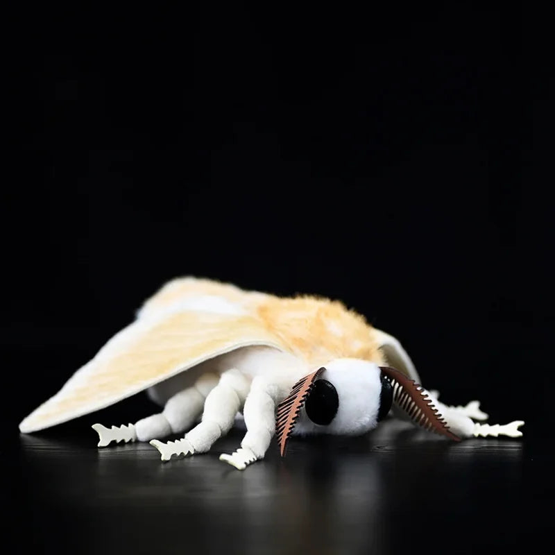 Silkworm Moth 27cm