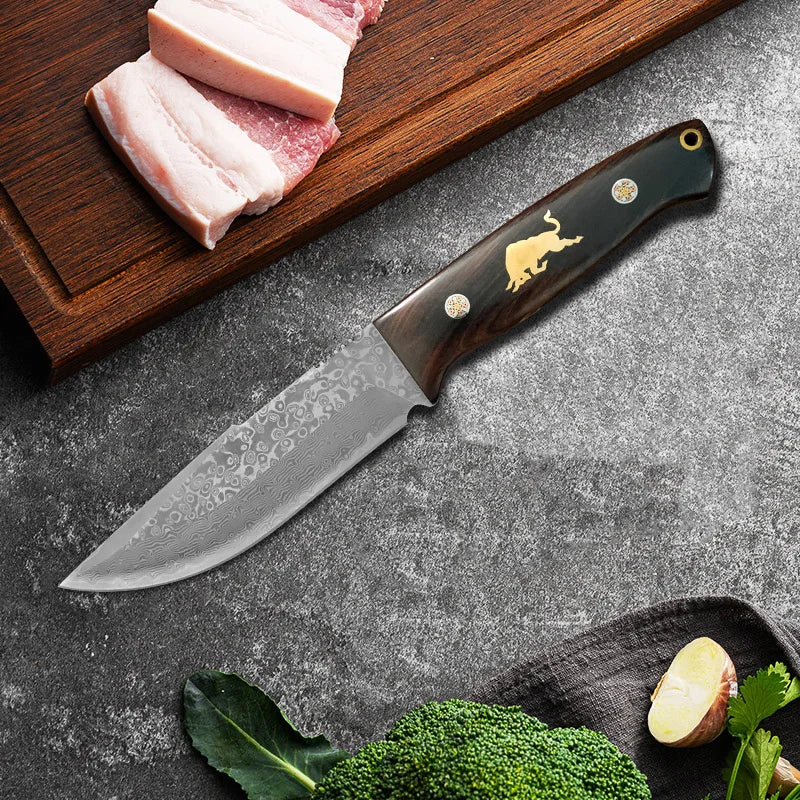 Damascus VG10 Steel Knife wood Handle Fixed blade knife Cooking Knife Meat Fruits Vegetables BBQ Cutting Kitchen Accessories