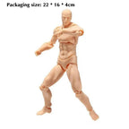 Male Female Body Figure Toy Movable Joints Drawing Mannequin Figure Models for Kids Scientific Cognitive Toys