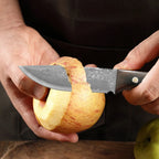 Damascus VG10 Steel Knife wood Handle Fixed blade knife Cooking Knife Meat Fruits Vegetables BBQ Cutting Kitchen Accessories