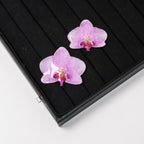 "Resin Coated Natural Dried Phalaenopsis Orchid Flowers - DIY Craft Supplies for Jewelry Making (Earrings/Brooch) Real Preserved