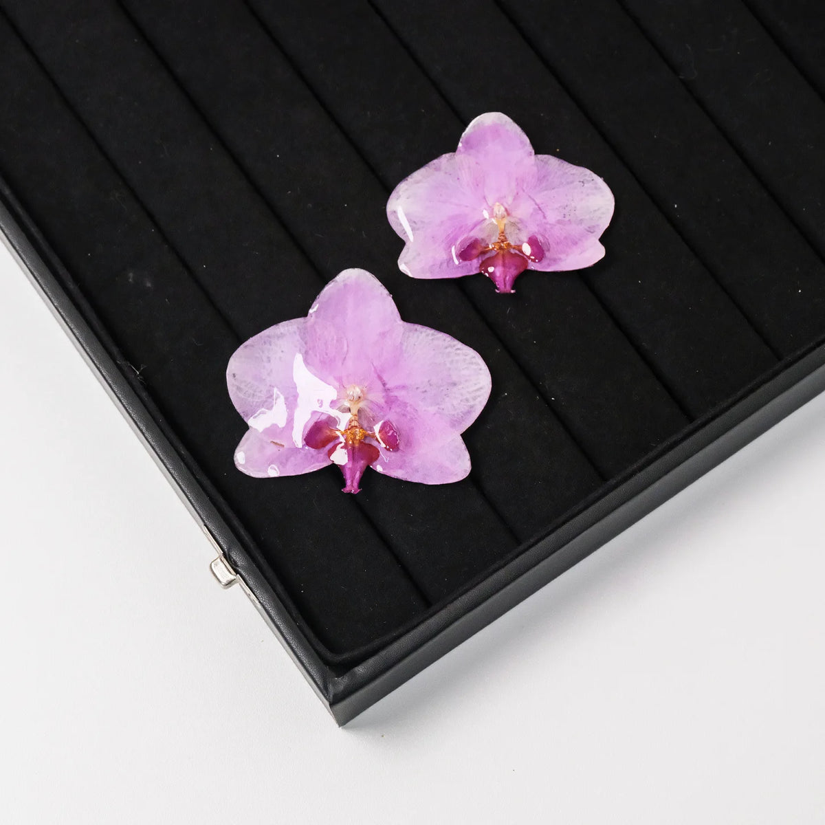 "Resin Coated Natural Dried Phalaenopsis Orchid Flowers - DIY Craft Supplies for Jewelry Making (Earrings/Brooch) Real Preserved