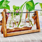 1pc, Tabletop Glass Planter Propagation Station Hydroponic Plant Vases In Wooden Rack Terrarium For Plants, Clear Flower Pot For