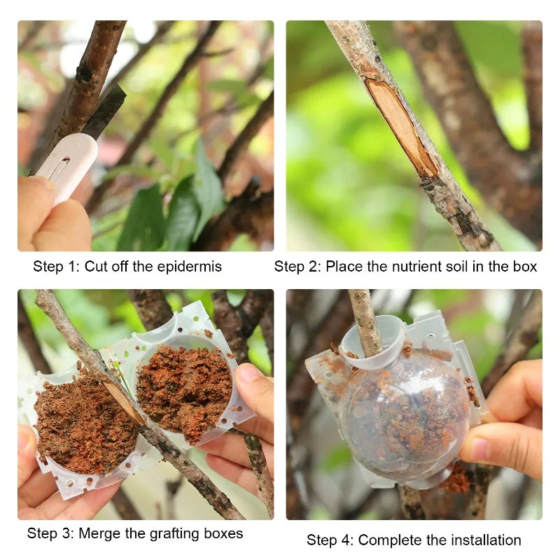 Air Layering Pods Plant Rooting Ball High Pressure Propagation Root Growing Box Graft Breeding Case for Garden Planting Supplies