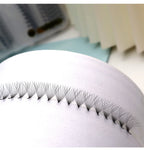2000 Fans 0.05 0.07 Mix C D Lash Promade Russian Volume Natural Handmade 8D 12D 14D Ultra Speed Top Premade  Lashes Extensions