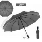 Windproof Double Layer Fully Automatic Resistant Umbrella