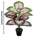 12 Leaves  / 2PCS